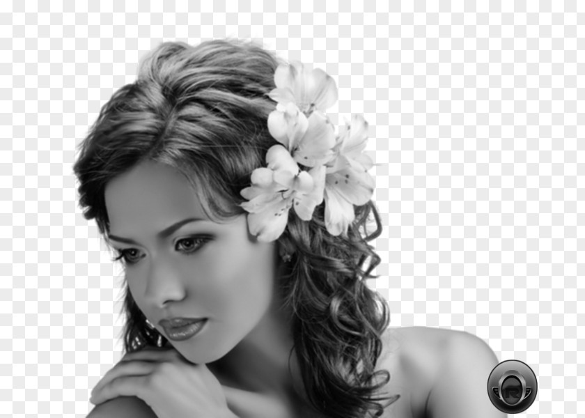 Hair Hairstyle Braid Jewellery Wedding PNG