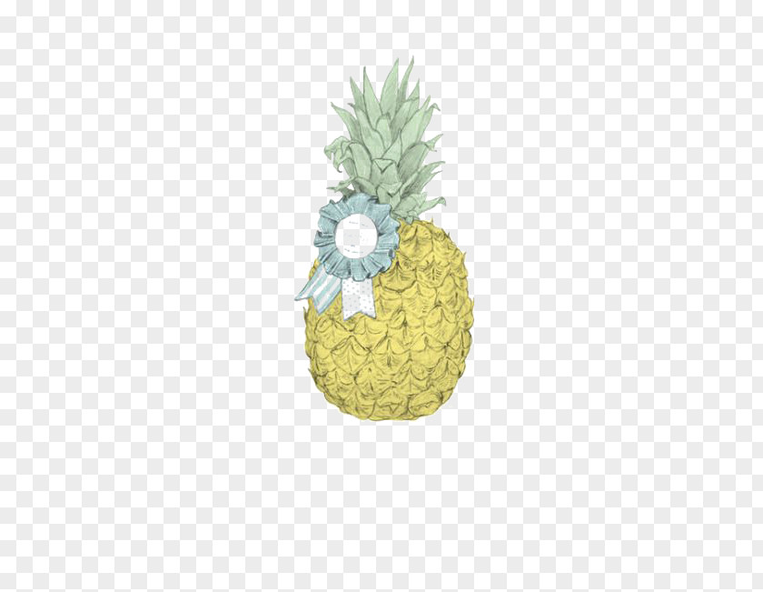 Literary Pineapple Drawing Art Illustration PNG