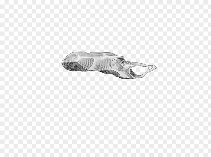 Silver Shoe PNG