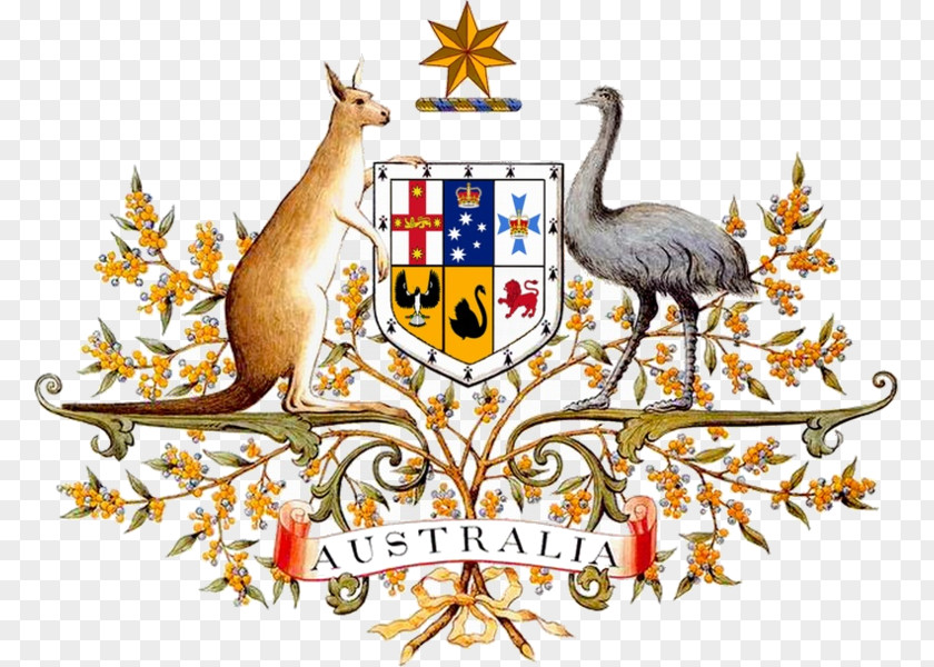 Australia Coat Of Arms National Symbols Emu PNG