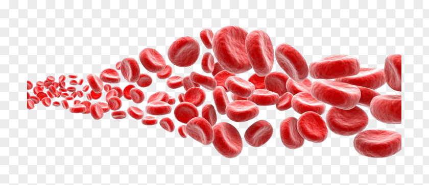 Blood Red Cell White Platelet PNG