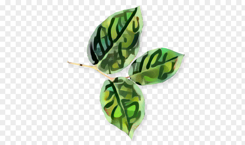 Brooch Bead Green Leaf Background PNG