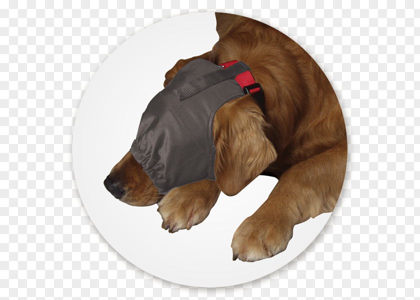 Dog Separation Anxiety In Dogs Thunderworks Calming Cap Amazon.com Pet PNG