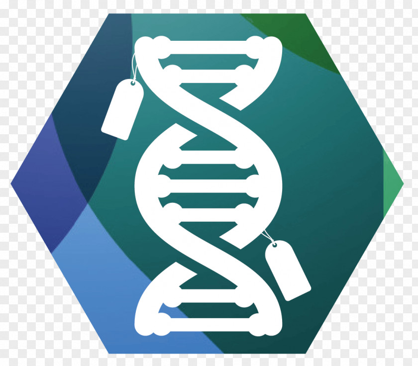 Epigenetics DNA Methylation Mutation PNG