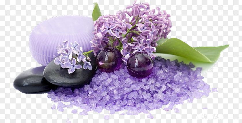 Lotion Spa Massage Freshfields Hotel Aromatherapy PNG