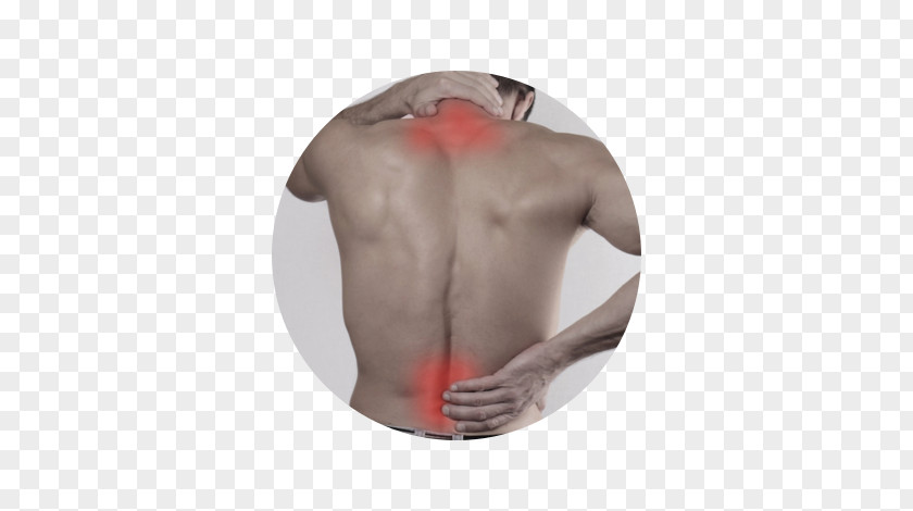 Massage Physical Therapy Chiropractic Neck Pain PNG