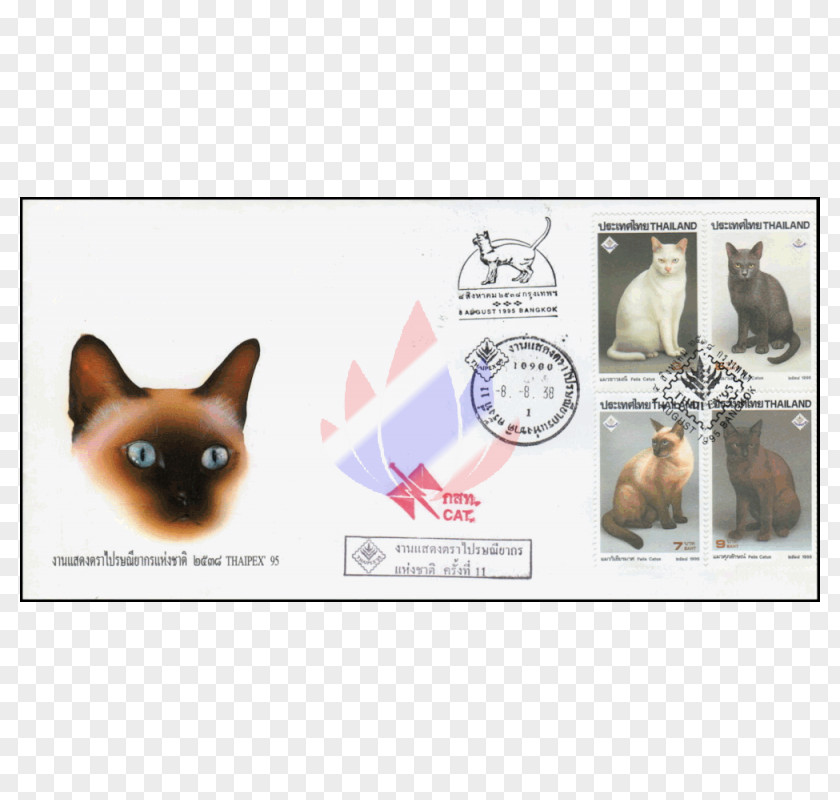 Puppy Whiskers Cat Dog Breed PNG