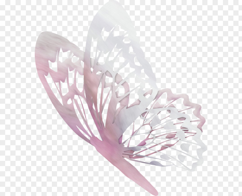 Butterfly Papillon Dog Animal Drawing Bird PNG