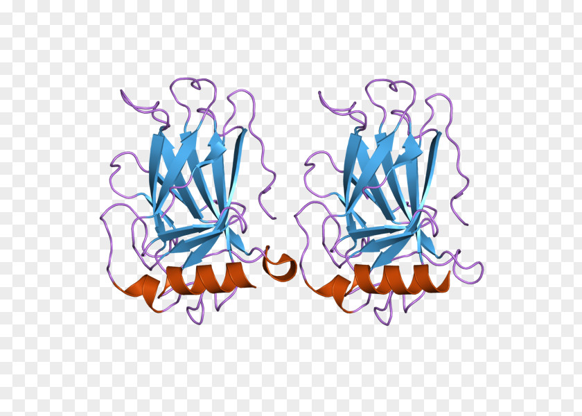 Bzip Domain P53 Tumor Suppressor Gene Protein Antigen Neoplasm PNG