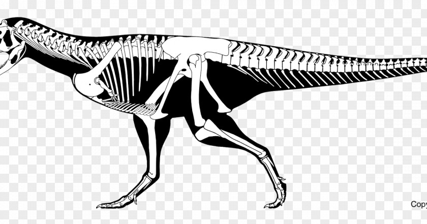 Dinosaur Carnotaurus Aucasaurus Abelisaurus Skorpiovenator Irritator PNG