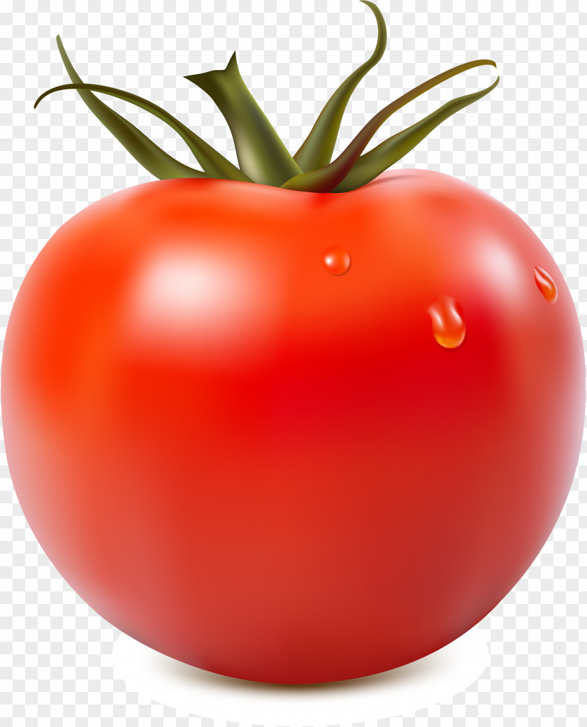 Vegetable Tomato Juice Sauce Clip Art PNG