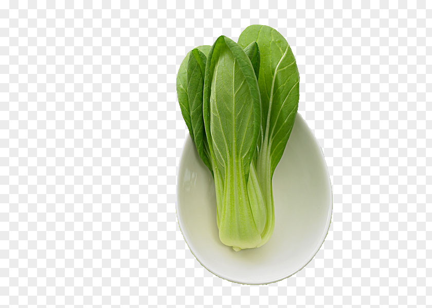 Wash The Cabbage Romaine Lettuce Choy Sum Napa PNG