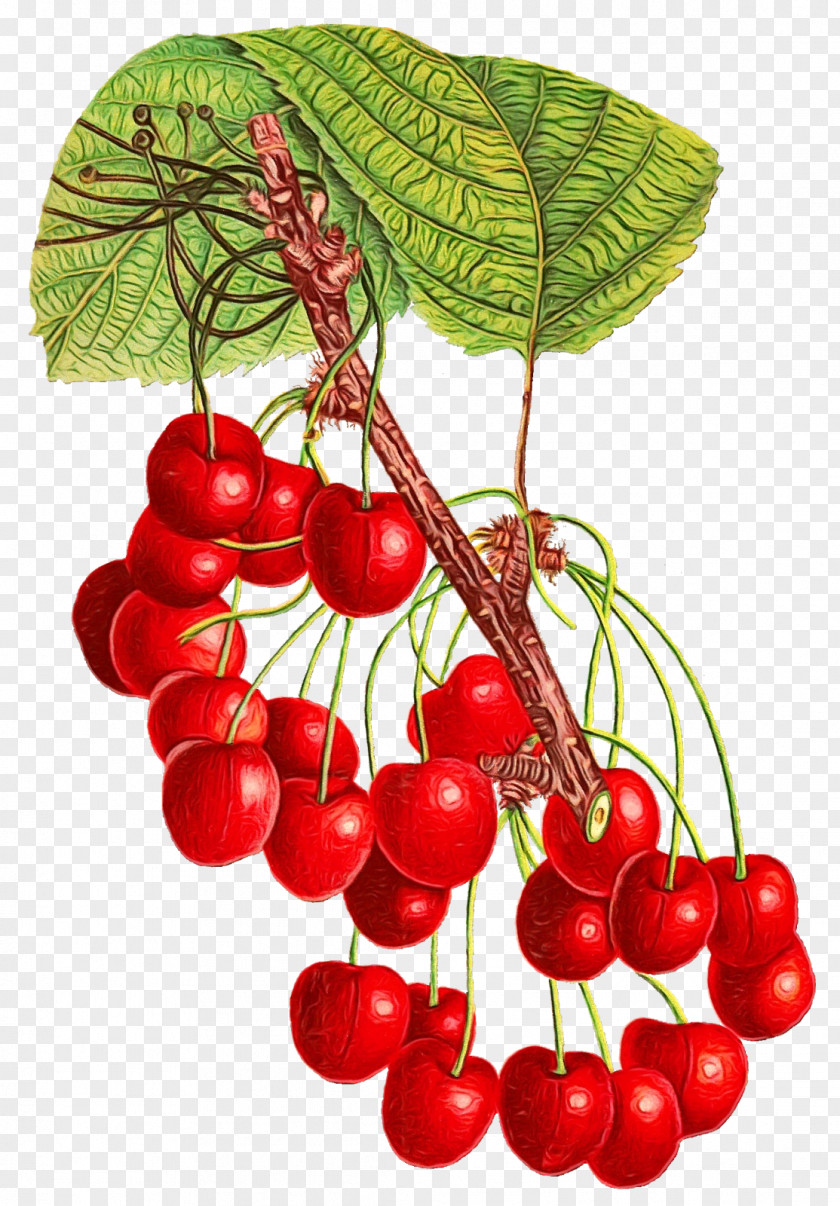 Cherry Berry Fruit Natural Foods PNG