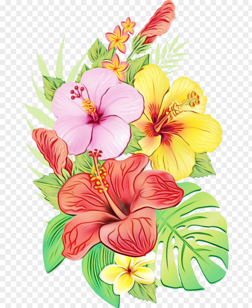 Chinese Hibiscus Bouquet Flower Flowering Plant Hawaiian Petal PNG