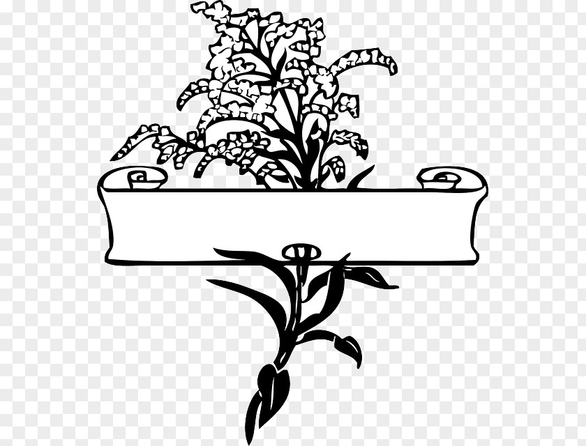 Flower Borders And Frames Drawing Clip Art PNG