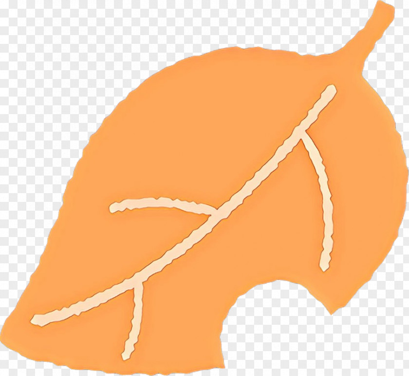 Orange PNG