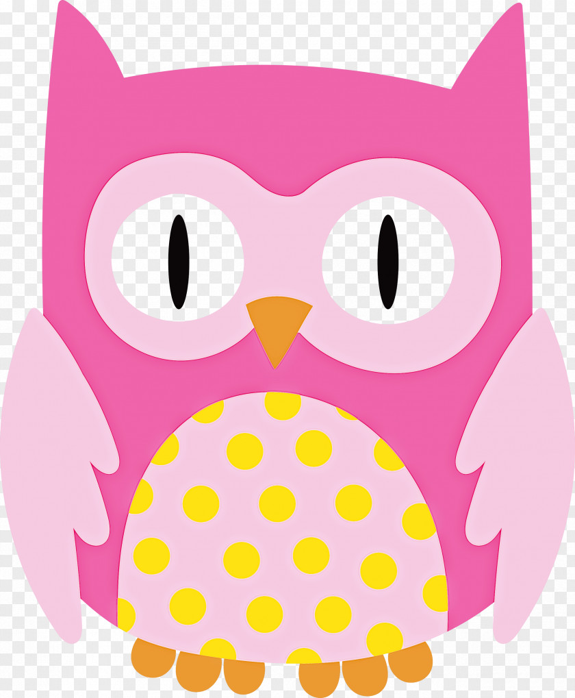 Owls Birds Cat Snout Beak PNG