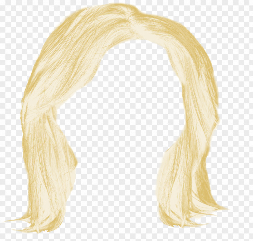 Blonde Hair Wig PNG