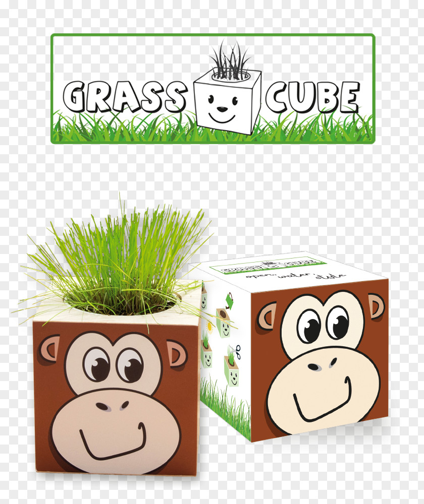 Cube Plant Mammal IdeeCadeau.fr Animal PNG