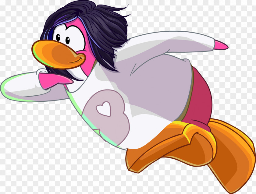 Penguin Club Water Bird Duck PNG