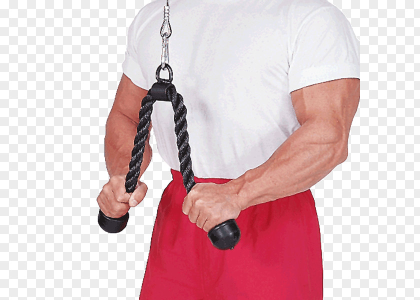 Rope Triceps Brachii Muscle Pushdown Finger Shoulder Elbow PNG
