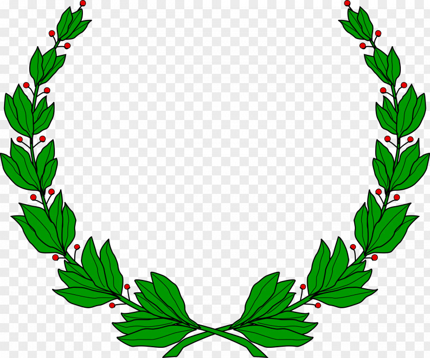 Wreath Bay Laurel Stock Photography PNG