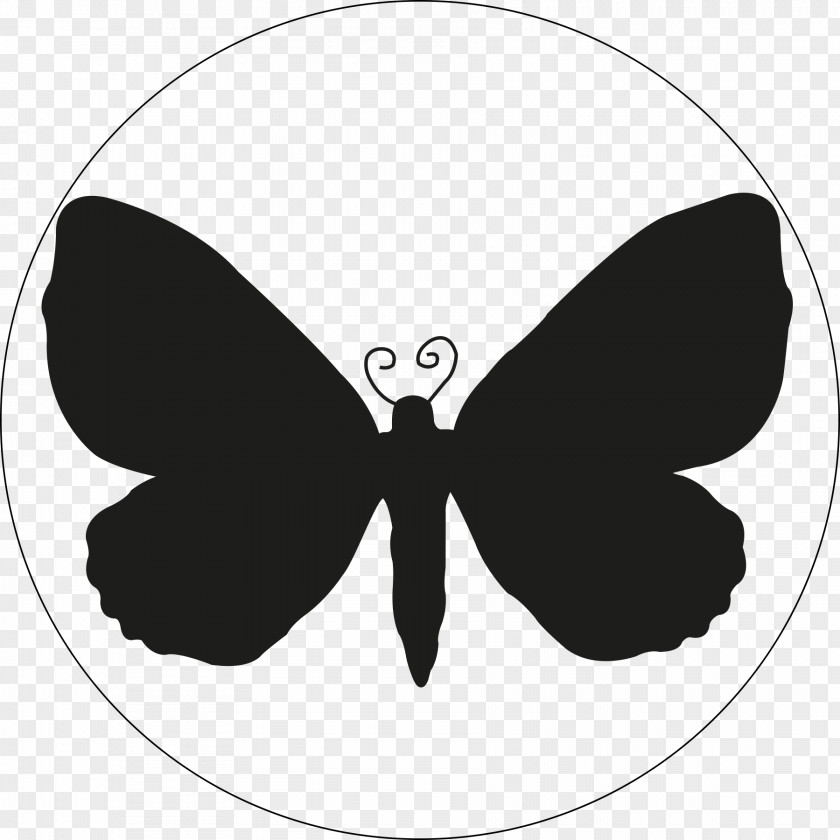 Blackandwhite Symmetry Monarch Butterfly Drawing PNG