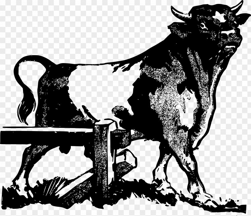 Bull Texas Longhorn English Brahman Cattle Drawing PNG