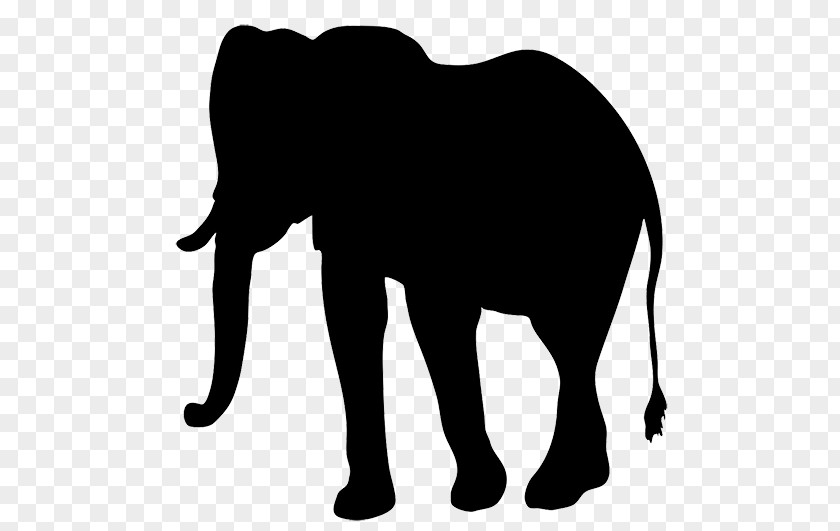 Elephant Silhouettes Cliparts Drawing Clip Art PNG