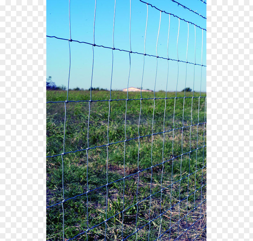 Fence Chain-link Fencing Wire Gauge Barbed PNG