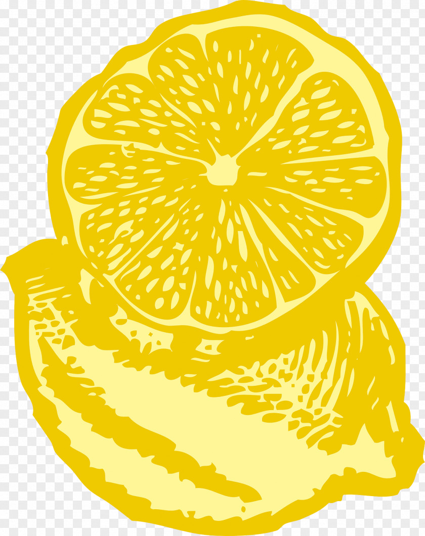 Fresh Lemon Illustration PNG