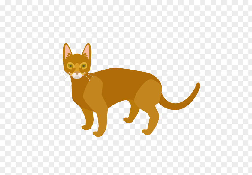 Kitten Whiskers Domestic Short-haired Cat Chihuahua PNG