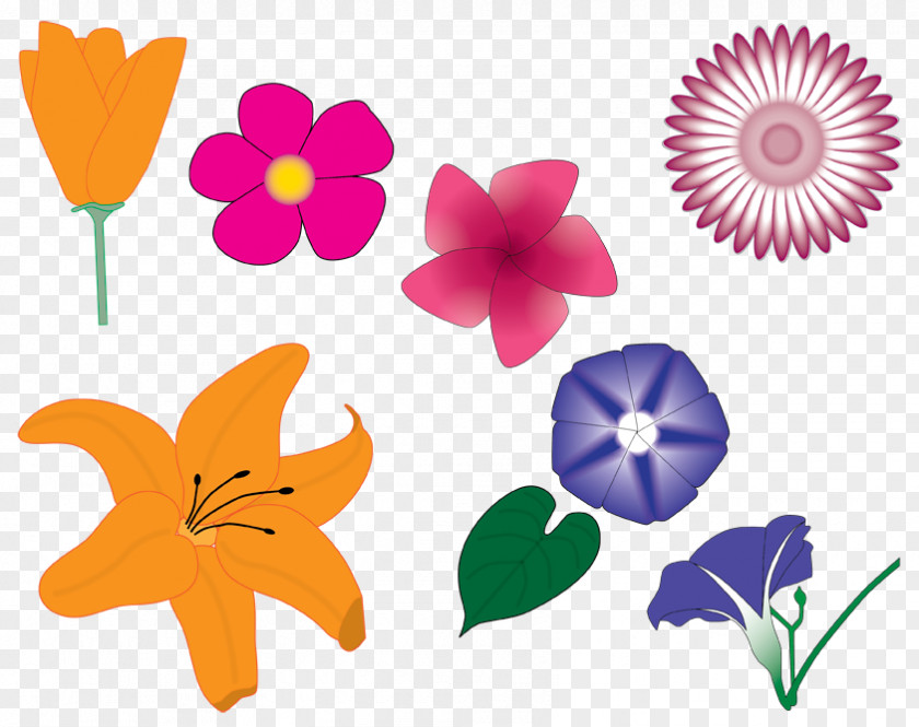 Leaf Petal Floral Design Cut Flowers Clip Art PNG
