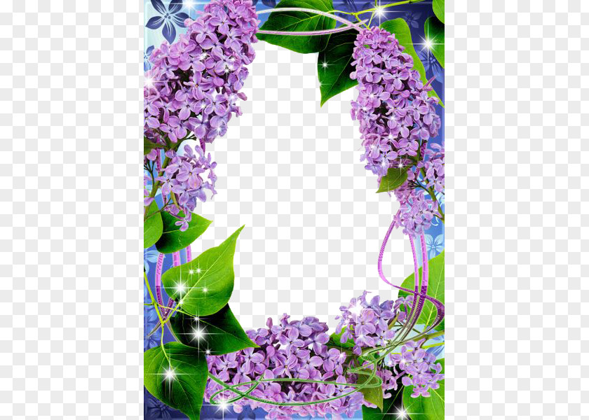 Lilac Transparent Picture Frame Clip Art PNG