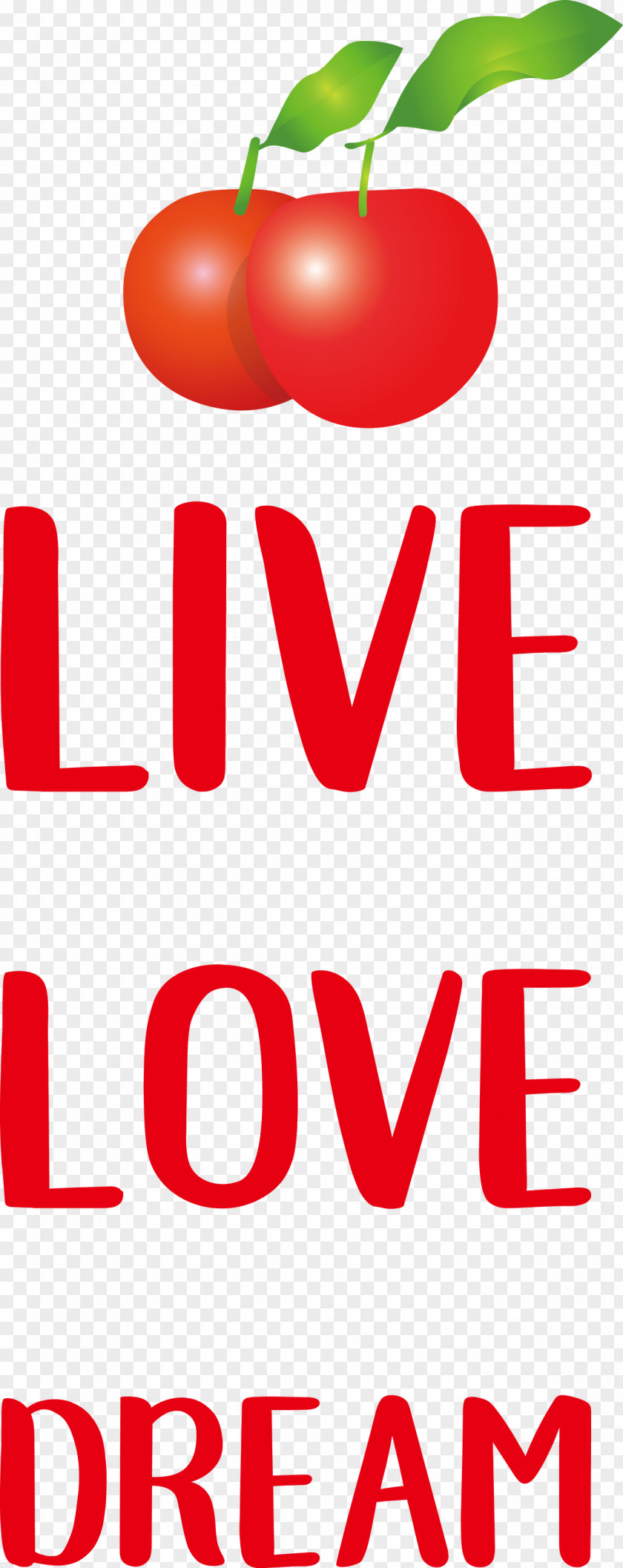 Live Love Dream PNG