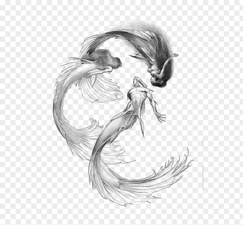 Mermaid Drawing Siren Sketch PNG