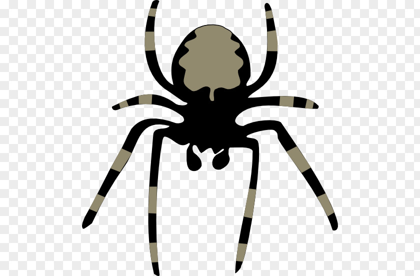 Spider Web Huntsman Clip Art PNG