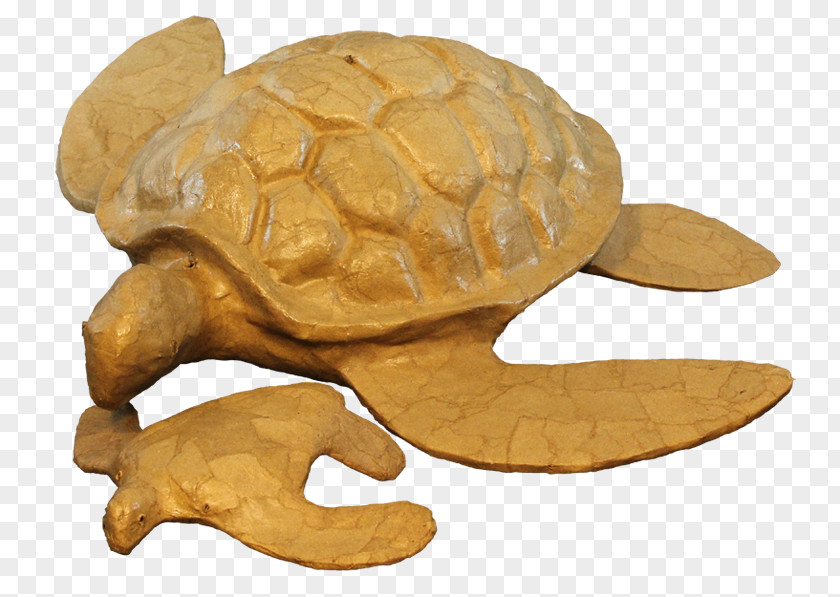 Turtle Urn Natural Burial Environmentally Friendly Tortoise PNG