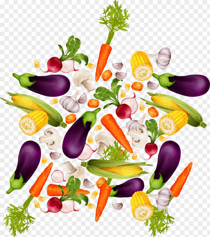Vector Fruits And Vegetables Organic Food Vegetable Stock PNG