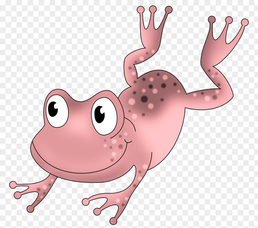 A Pink Frog Amphibian Reptile Clip Art PNG