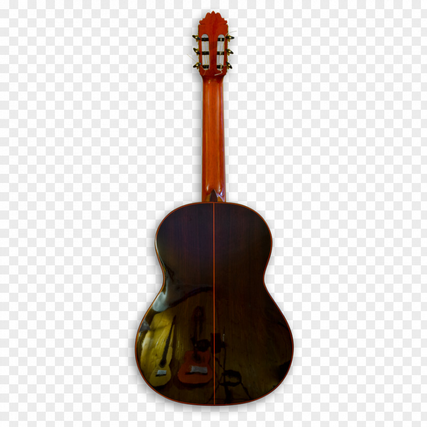 Acoustic Guitar Tiple Bass Cavaquinho PNG