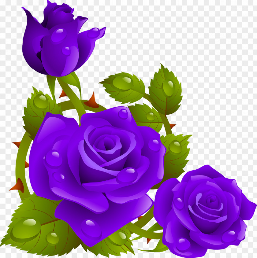 Blue Rose Flower Stock Photography Clip Art PNG