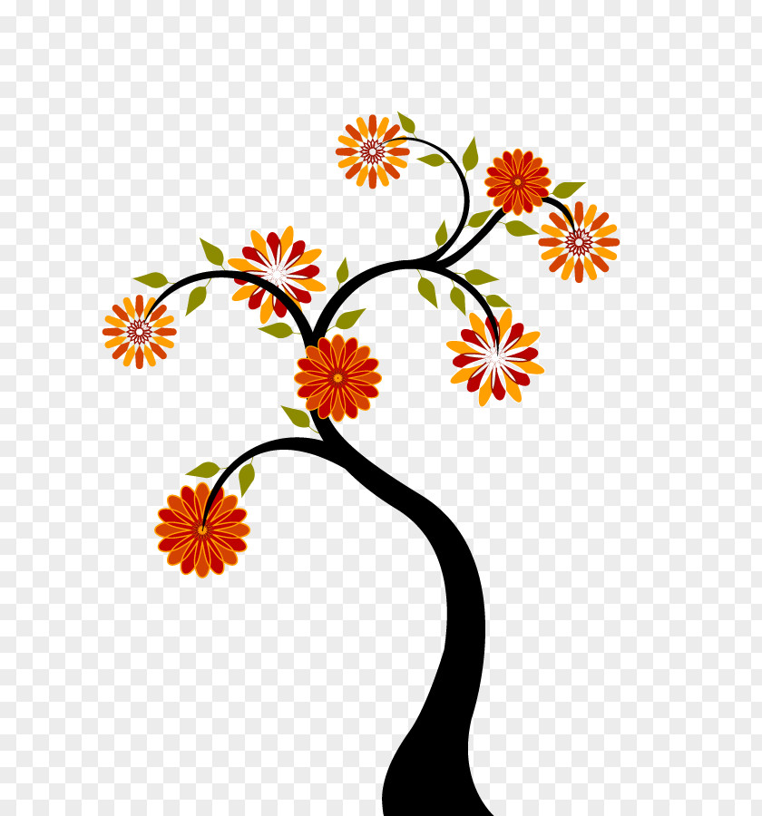 Flowers Illustrations Blossom Illustration PNG