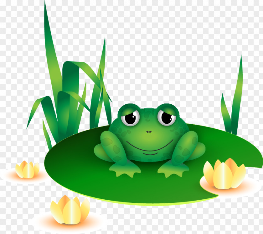 Vector Frog True Tree Toad PNG