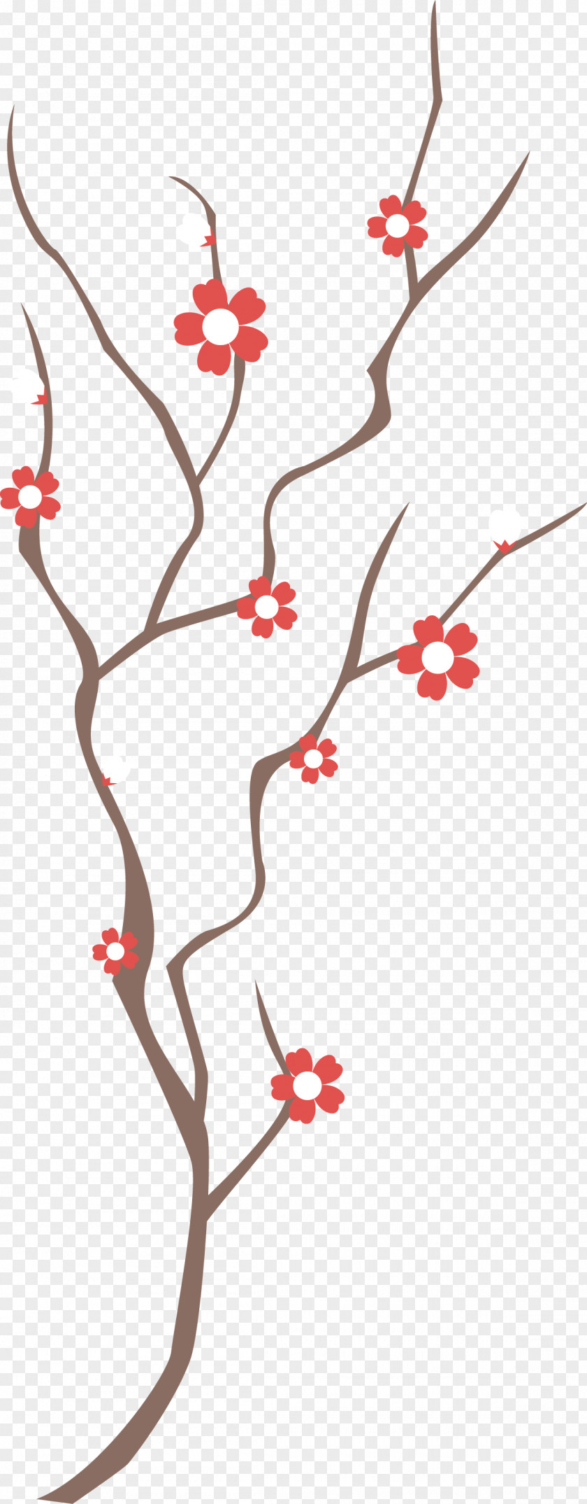 Cartoon Plum PNG