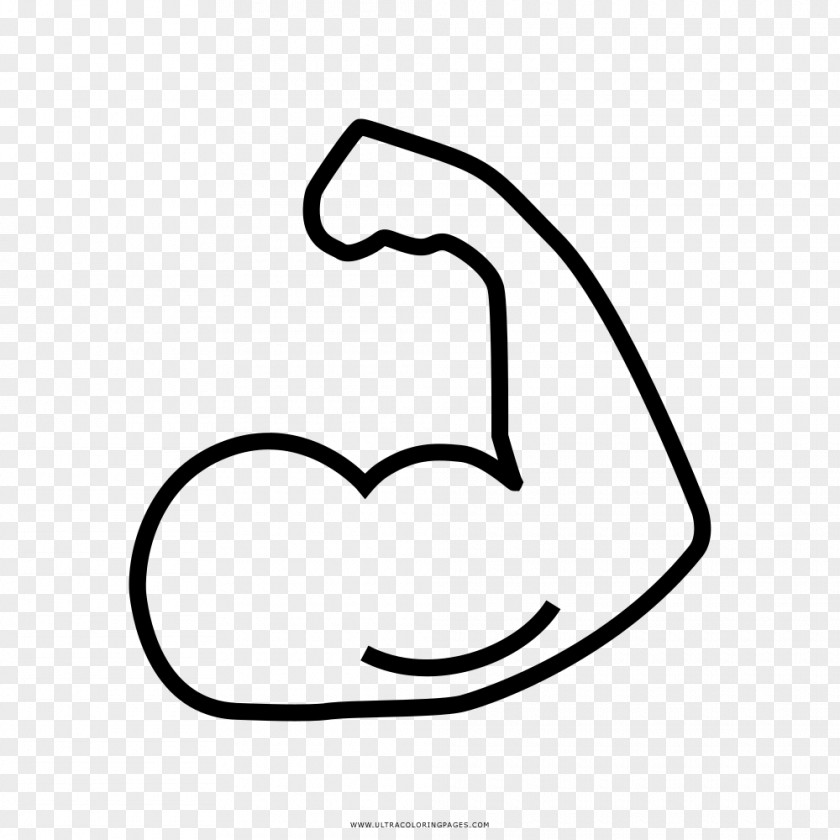 Muscle Arm Drawing Coloring Book Biceps Muscular System PNG