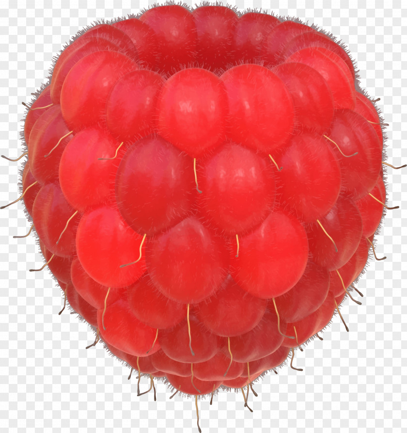 Raspberry Clip Art PNG