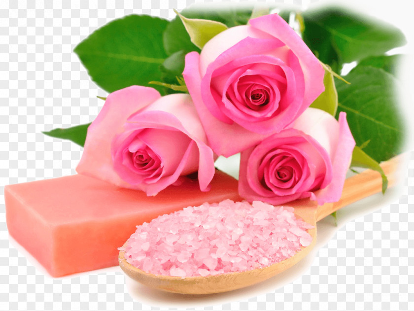Rose Desktop Wallpaper Pink Spa Flower PNG