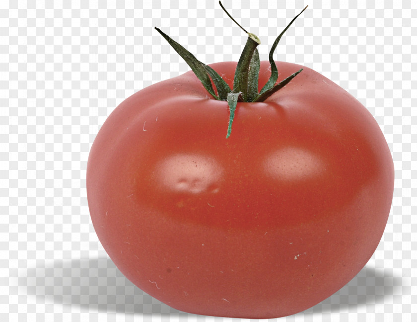 Tomatoes Tomato Creative Perspective Plum Bush Vegetable Food PNG