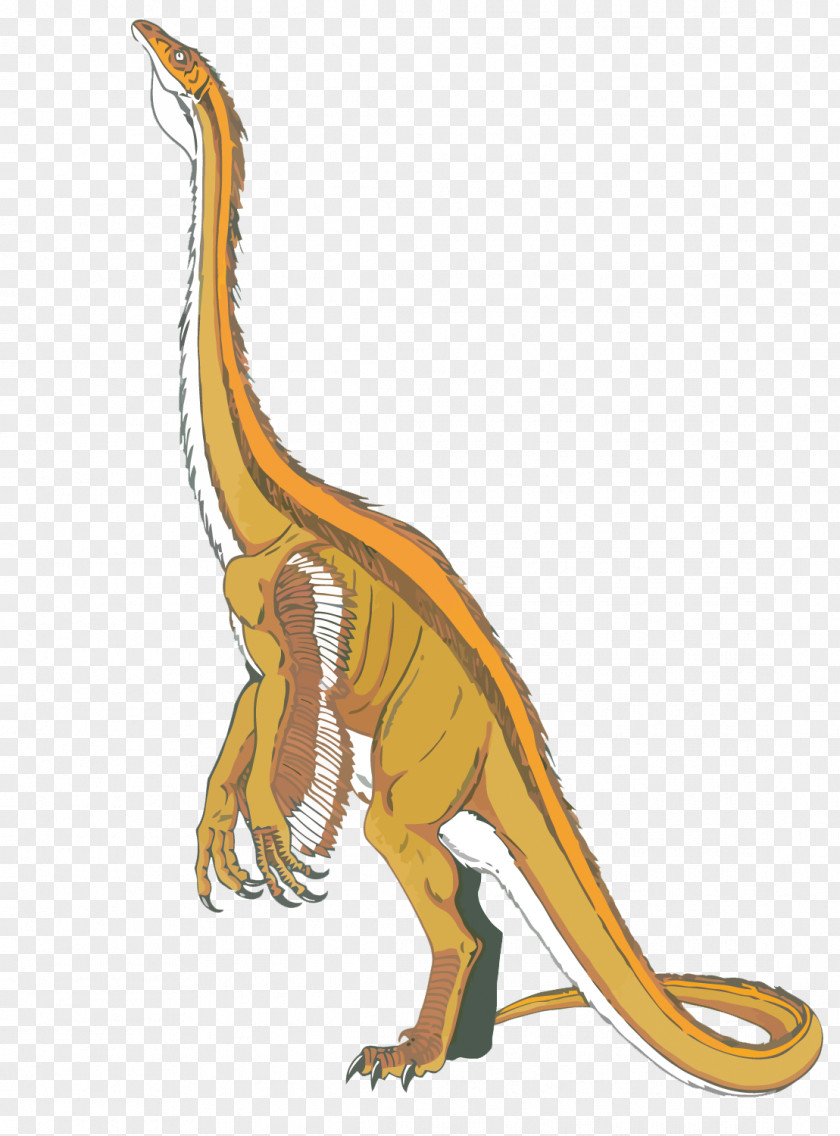 Vector Dinosaurs Velociraptor Tyrannosaurus Dinosaur PNG